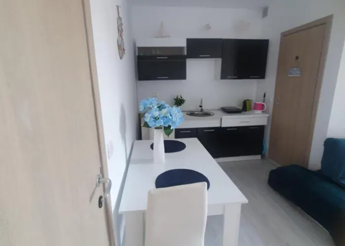 Apartment Sunny Day 6